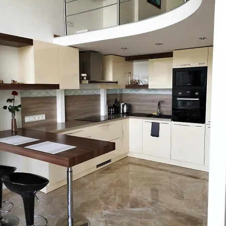 公寓 Manufakturu Loft Near Oldtown 维尔纽斯